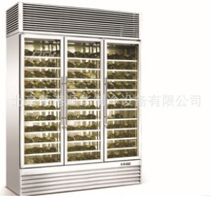 【红酒恒温展示柜】?内直接影响商品销量